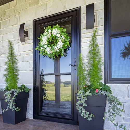 Storm Door